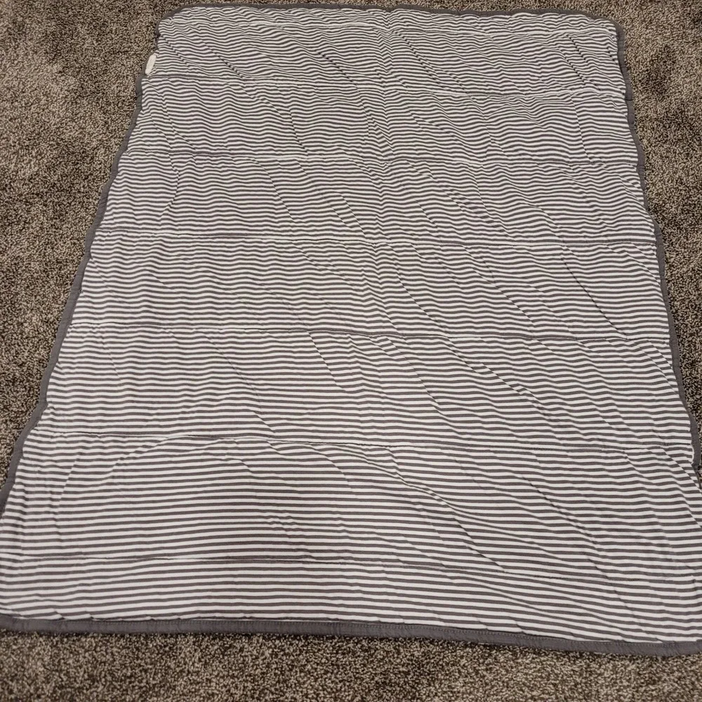 Burt's Bees Baby Reversible Organic Cotton Quilt A-Bee-C Alphabet Gray Stripe